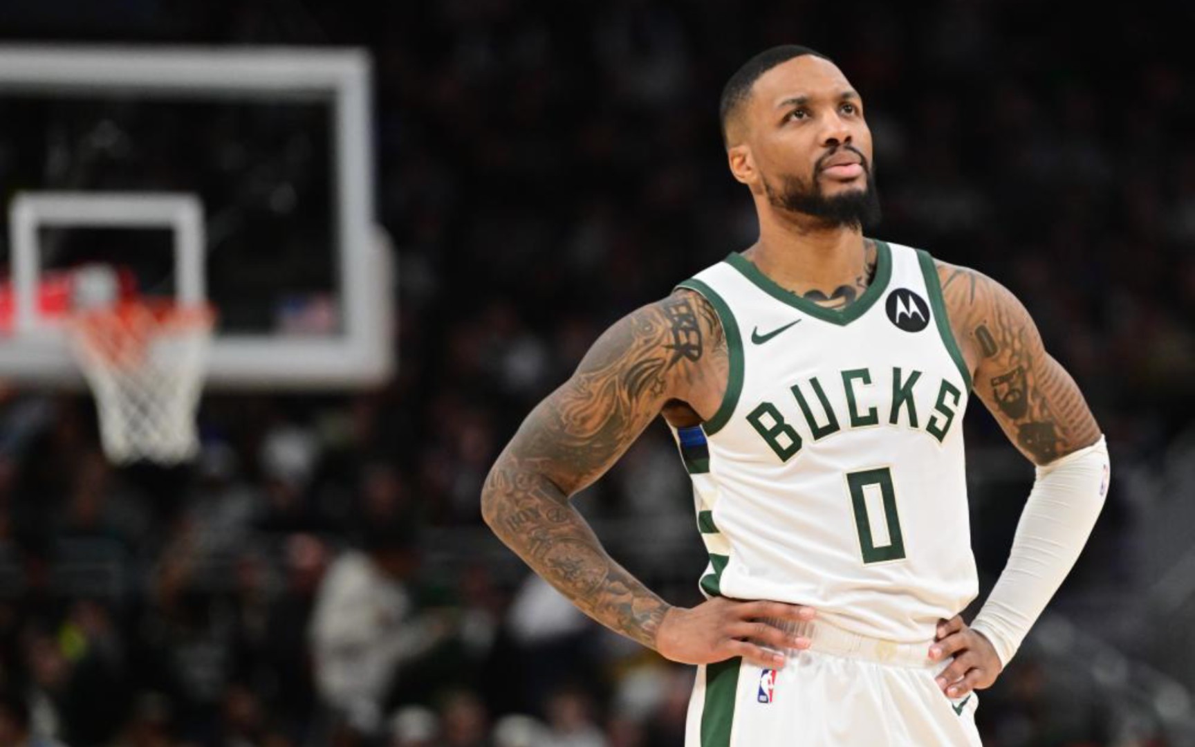 济波动与新 济波动与新